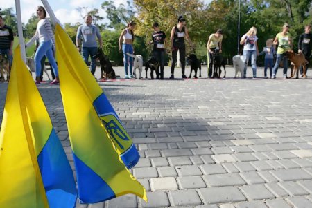 В Одессе прошел первый DOG-марафон (фоторепортаж)