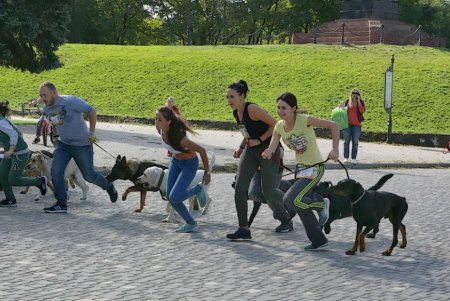 В Одессе прошел первый DOG-марафон (фоторепортаж)