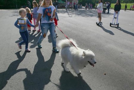 В Одессе прошел первый DOG-марафон (фоторепортаж)