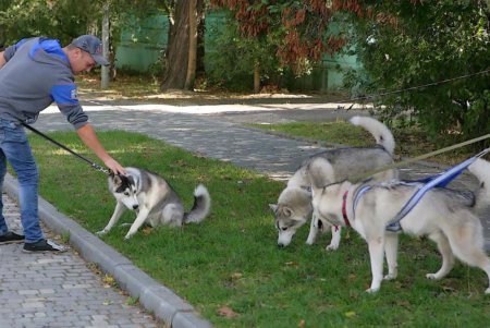 В Одессе прошел первый DOG-марафон (фоторепортаж)