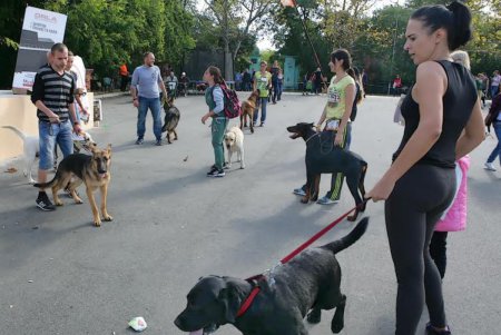 В Одессе прошел первый DOG-марафон (фоторепортаж)