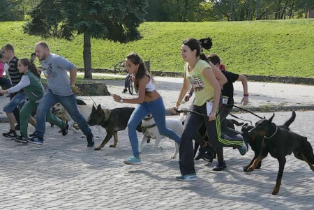 В Одессе прошел первый DOG-марафон (фоторепортаж)