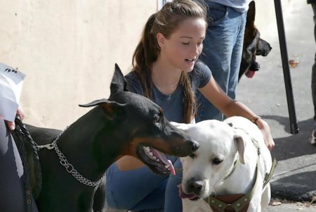 В Одессе прошел первый DOG-марафон (фоторепортаж)