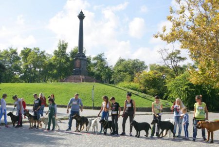 В Одессе прошел первый DOG-марафон (фоторепортаж)