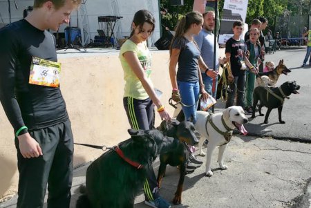 В Одессе прошел первый DOG-марафон (фоторепортаж)
