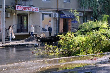 Ни пройти, ни проехать: в Одессе дерево блокировало движение (фото)