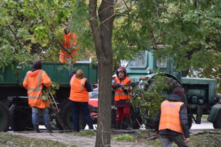 В Одессе повреждено 173 воздушных кабельных линии  и 642 объекта находятся без света (фото)
