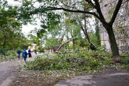 В Одессе повреждено 173 воздушных кабельных линии  и 642 объекта находятся без света (фото)