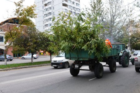 В Одессе повреждено 173 воздушных кабельных линии  и 642 объекта находятся без света (фото)