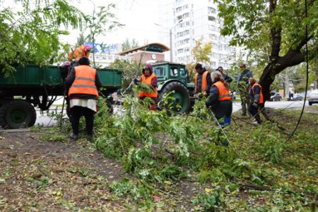 В Одессе повреждено 173 воздушных кабельных линии  и 642 объекта находятся без света (фото)