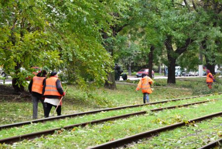 В Одессе повреждено 173 воздушных кабельных линии  и 642 объекта находятся без света (фото)