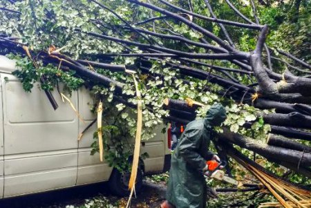 В Одессе повреждено 173 воздушных кабельных линии  и 642 объекта находятся без света (фото)