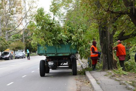 В Одессе повреждено 173 воздушных кабельных линии  и 642 объекта находятся без света (фото)