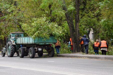В Одессе повреждено 173 воздушных кабельных линии  и 642 объекта находятся без света (фото)
