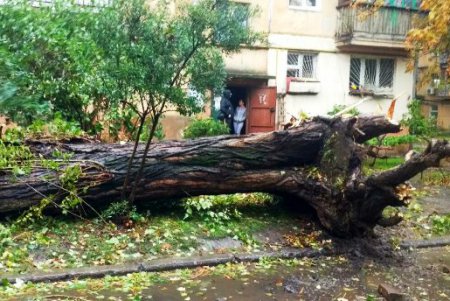 В Одессе повреждено 173 воздушных кабельных линии  и 642 объекта находятся без света (фото)