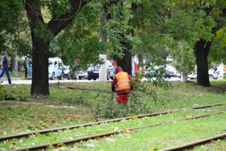 В Одессе повреждено 173 воздушных кабельных линии  и 642 объекта находятся без света (фото)