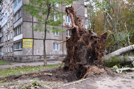 В Одессе повреждено 173 воздушных кабельных линии  и 642 объекта находятся без света (фото)