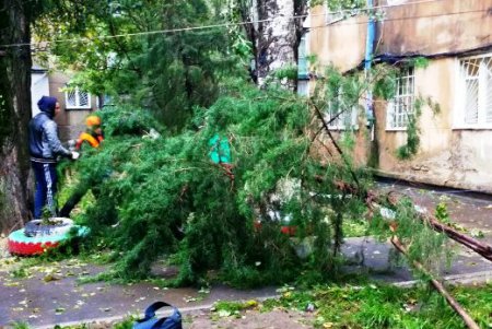 В Одессе повреждено 173 воздушных кабельных линии  и 642 объекта находятся без света (фото)