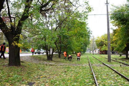 В Одессе повреждено 173 воздушных кабельных линии  и 642 объекта находятся без света (фото)