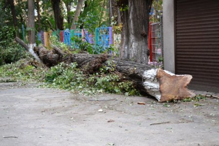 Городская инфраструктура выздоравливает после удара стихии (фото)