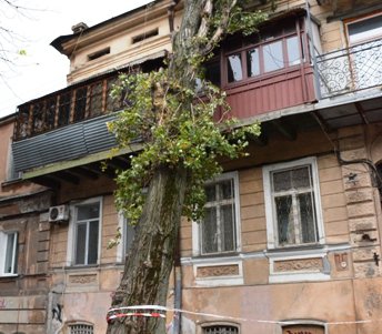 Городская инфраструктура выздоравливает после удара стихии (фото)