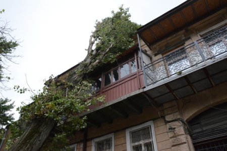 Городская инфраструктура выздоравливает после удара стихии (фото)