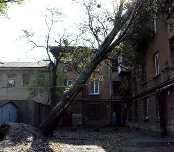 Городская инфраструктура выздоравливает после удара стихии (фото)