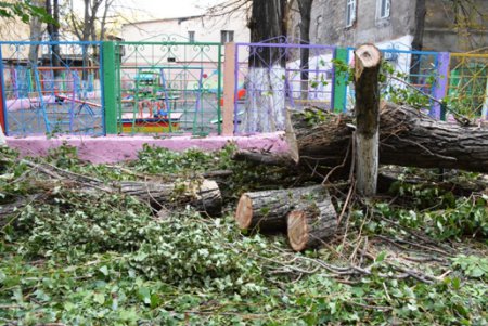 Городская инфраструктура выздоравливает после удара стихии (фото)