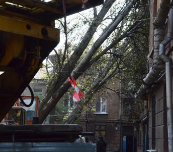Городская инфраструктура выздоравливает после удара стихии (фото)