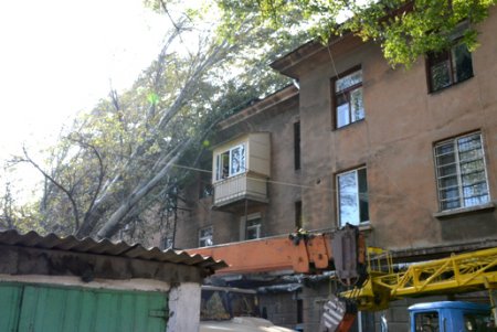 Городская инфраструктура выздоравливает после удара стихии (фото)