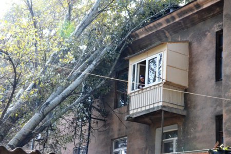 Городская инфраструктура выздоравливает после удара стихии (фото)