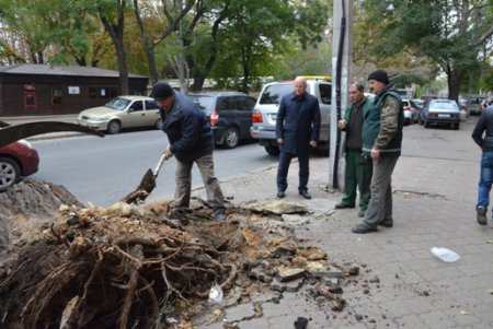 Городская инфраструктура выздоравливает после удара стихии (фото)
