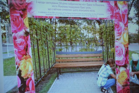 Греческий парк: аллея фонтанов, концертная площадка и декоративные растения (фото)