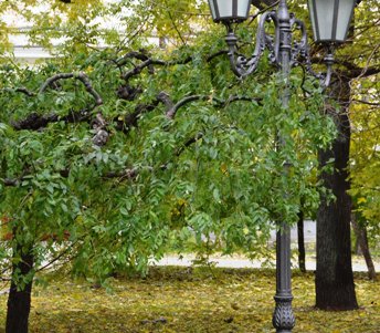 Возле Воронцовского дворца теперь можно помечтать о романтике XIX века (фото)