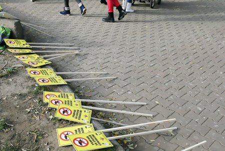 «Дюковская мафия» призывает к общественно-полезному труду заради нашей мамы (фоторепортаж)