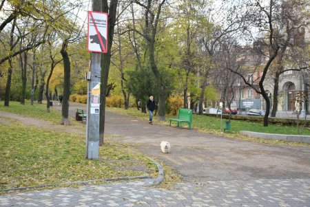 Культура начинается с малого: в Одессе проверили соблюдение Правил выгула животных (фото)