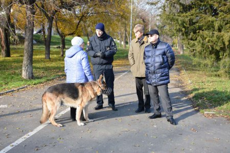 Культура начинается с малого: в Одессе проверили соблюдение Правил выгула животных (фото)