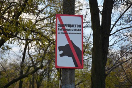 Культура начинается с малого: в Одессе проверили соблюдение Правил выгула животных (фото)