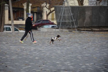Культура начинается с малого: в Одессе проверили соблюдение Правил выгула животных (фото)