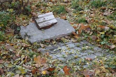 Культура начинается с малого: в Одессе проверили соблюдение Правил выгула животных (фото)