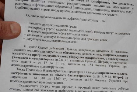 Культура начинается с малого: в Одессе проверили соблюдение Правил выгула животных (фото)