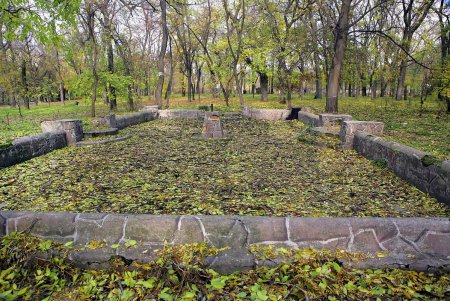 Из заброшенной площадки – в современное пространство (фоторепортаж)