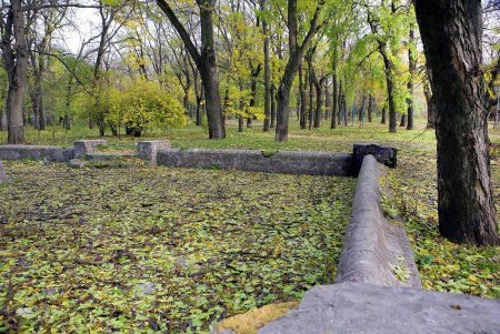 Из заброшенной площадки – в современное пространство (фоторепортаж)