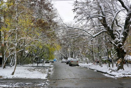 В Одессу пришли седой зимы угрозы (фоторепортаж)