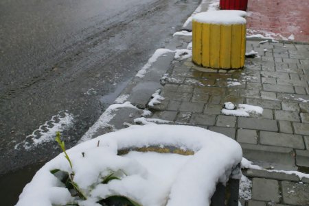 В Одессу пришли седой зимы угрозы (фоторепортаж)