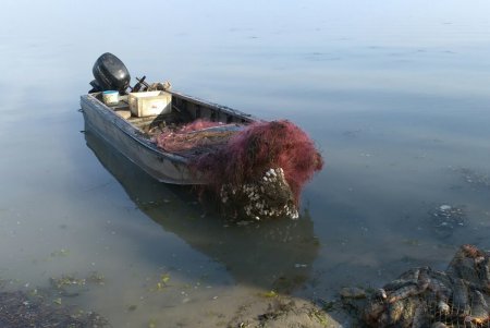 На Днестровском лимане поймали браконьеров 
