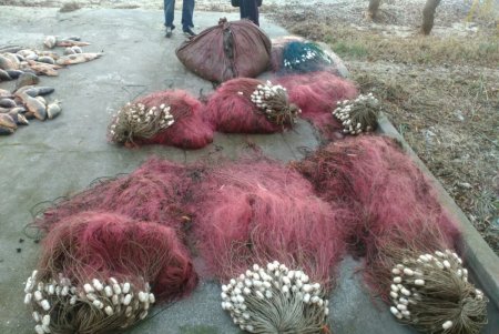 На Днестровском лимане поймали браконьеров 