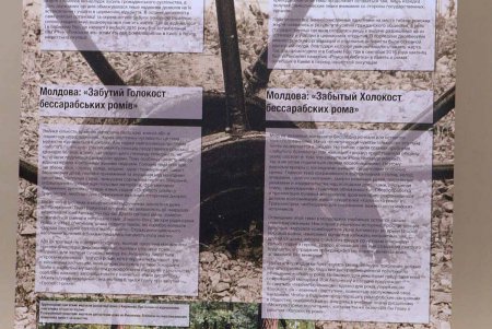 Геноцид ромов: помнить, чтобы противостоять (фоторепортаж)