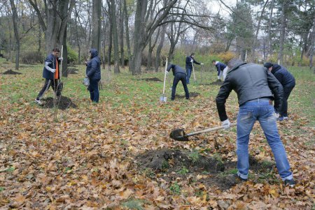 Любимый парк одесситов добавил зеленое убранство (фоторепортаж)