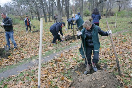Любимый парк одесситов добавил зеленое убранство (фоторепортаж)
